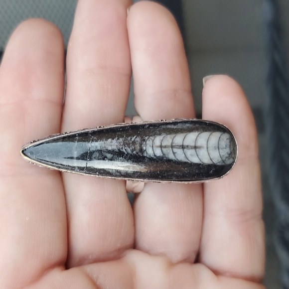 New Oversized Orthoceras Fossil 925 Silver Statement Ring. - Picture 10 of 16
